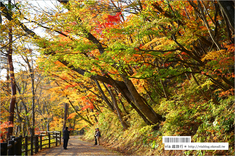 日本東北賞楓》宮城‧嗚子峽紅葉狩～絕美的紅葉山巒，必賞的東北紅葉景點！