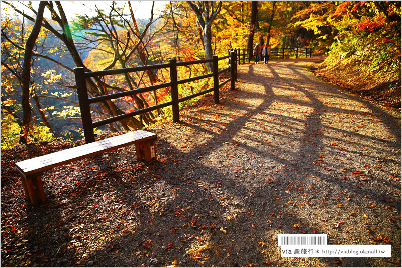 日本東北賞楓》宮城‧嗚子峽紅葉狩～絕美的紅葉山巒，必賞的東北紅葉景點！