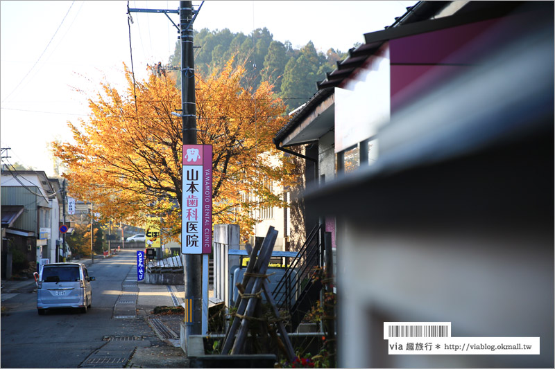 秋田角館旅遊》角館武家屋敷賞楓～『奧州小京都』秋季紅葉綻放～七彩繽紛的角館美極了！