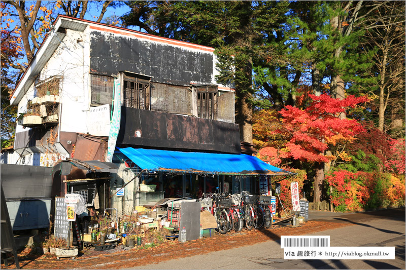 秋田角館旅遊》角館武家屋敷賞楓～『奧州小京都』秋季紅葉綻放～七彩繽紛的角館美極了！