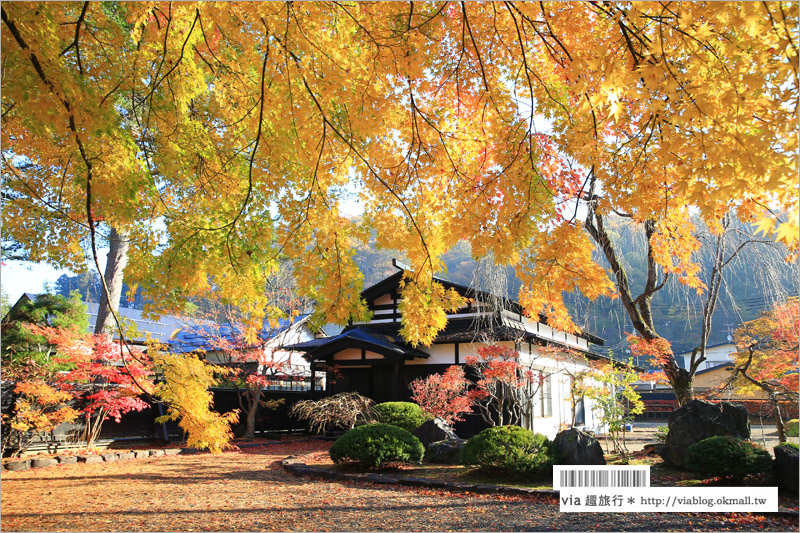 秋田角館旅遊》角館武家屋敷賞楓～『奧州小京都』秋季紅葉綻放～七彩繽紛的角館美極了！