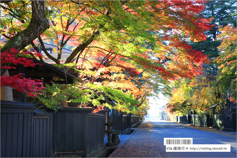 秋田角館旅遊》角館武家屋敷賞楓～『奧州小京都』秋季紅葉綻放～七彩繽紛的角館美極了！