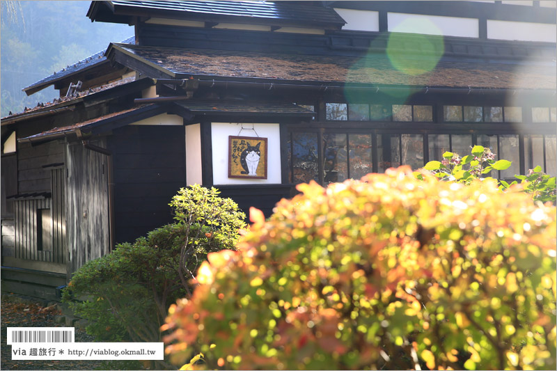 秋田角館旅遊》角館武家屋敷賞楓～『奧州小京都』秋季紅葉綻放～七彩繽紛的角館美極了！