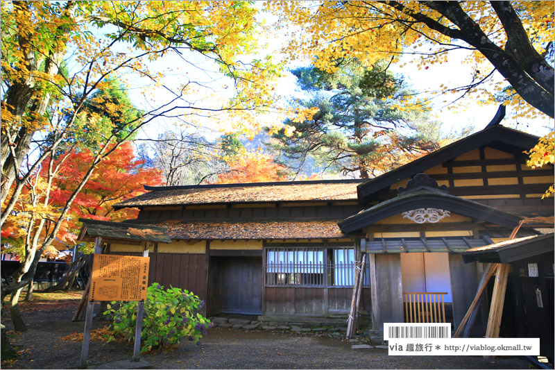 秋田角館旅遊》角館武家屋敷賞楓～『奧州小京都』秋季紅葉綻放～七彩繽紛的角館美極了！