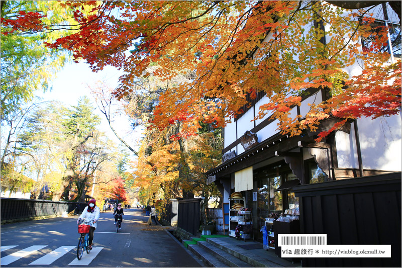 秋田角館旅遊》角館武家屋敷賞楓～『奧州小京都』秋季紅葉綻放～七彩繽紛的角館美極了！