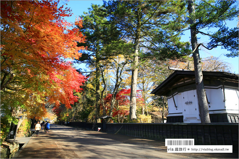 秋田角館旅遊》角館武家屋敷賞楓～『奧州小京都』秋季紅葉綻放～七彩繽紛的角館美極了！