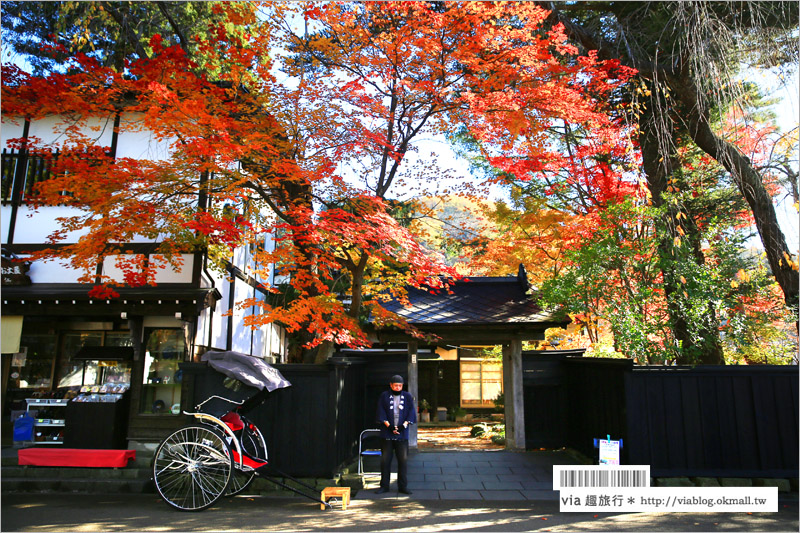 秋田角館旅遊》角館武家屋敷賞楓～『奧州小京都』秋季紅葉綻放～七彩繽紛的角館美極了！