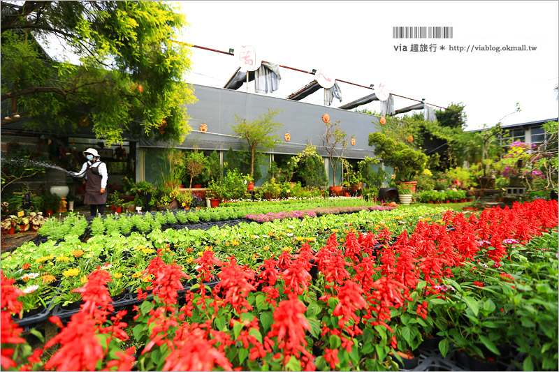 南投下午茶》南投文心園花園咖啡館～南投咖啡館＊歐風小屋浪漫又好拍！