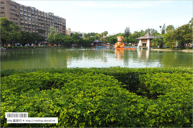 台中泰迪熊嘉年華》台中公園可愛熊出沒～7公尺高大熊和百隻小熊陪你歡樂過冬！