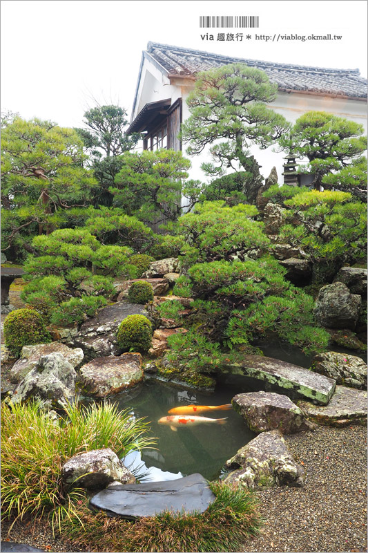 九州旅遊》九州大分縣景點～臼杵城懷舊漫遊＋六十年老年春光園大啖河豚料理（下）