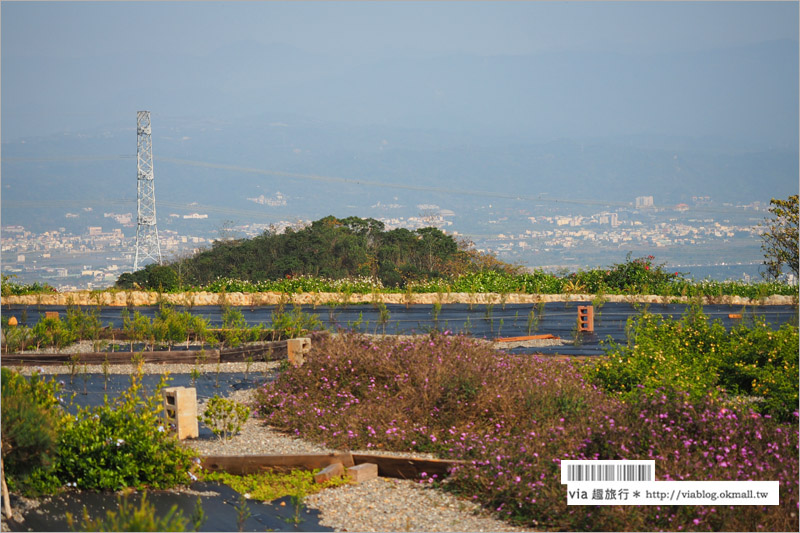 南投139縣道》29號花園咖啡～眺望大彰化南投的美麗景觀、滿滿的多肉植物好可愛！