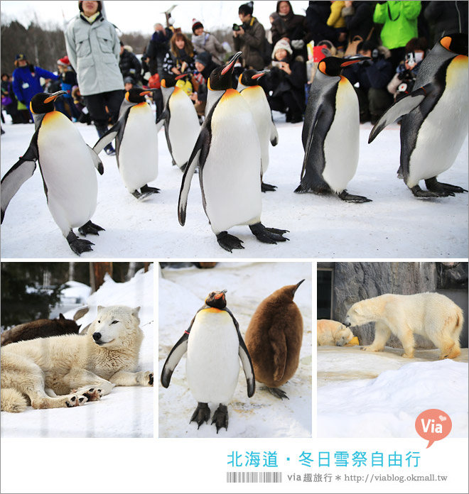 北海道自由行》北海道冬天行程規劃～必看三大雪祭六日行程分享篇｛札幌雪祭、層雲峽冰瀑祭、支芴湖冰濤祭｝