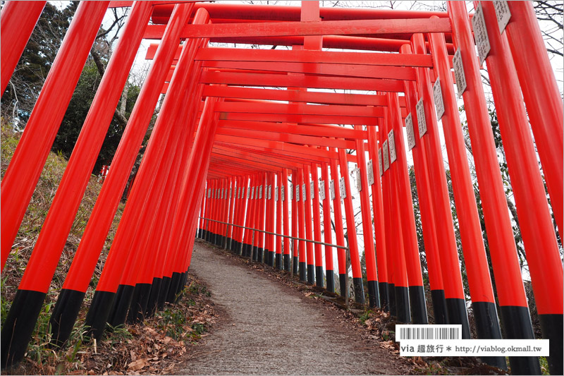 大分旅遊景點》扇森稻荷神社～九州迷你版的紅色千鳥居，竟然在大分鄉間遇見了！