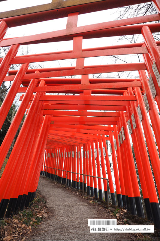 大分旅遊景點》扇森稻荷神社～九州迷你版的紅色千鳥居，竟然在大分鄉間遇見了！