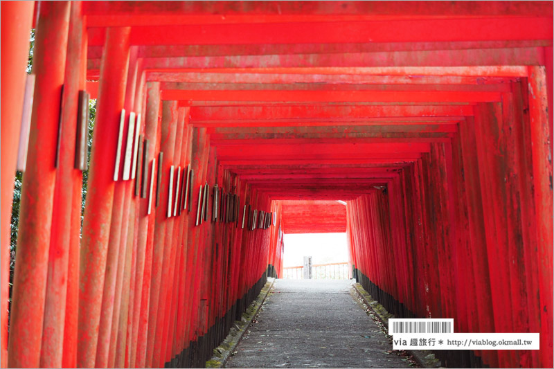 大分旅遊景點》扇森稻荷神社～九州迷你版的紅色千鳥居，竟然在大分鄉間遇見了！