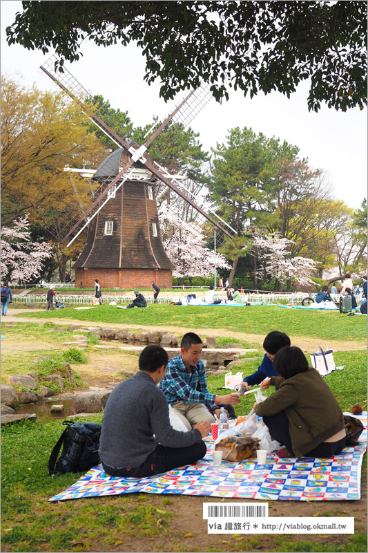 名古屋櫻花》名古屋城櫻花＋名城公園賞櫻記～好美！名古屋必去的賞櫻名所