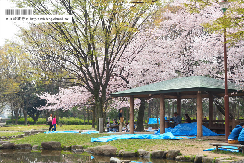 名古屋櫻花》名古屋城櫻花＋名城公園賞櫻記～好美！名古屋必去的賞櫻名所