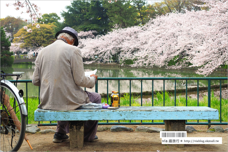 名古屋櫻花》名古屋城櫻花＋名城公園賞櫻記～好美！名古屋必去的賞櫻名所