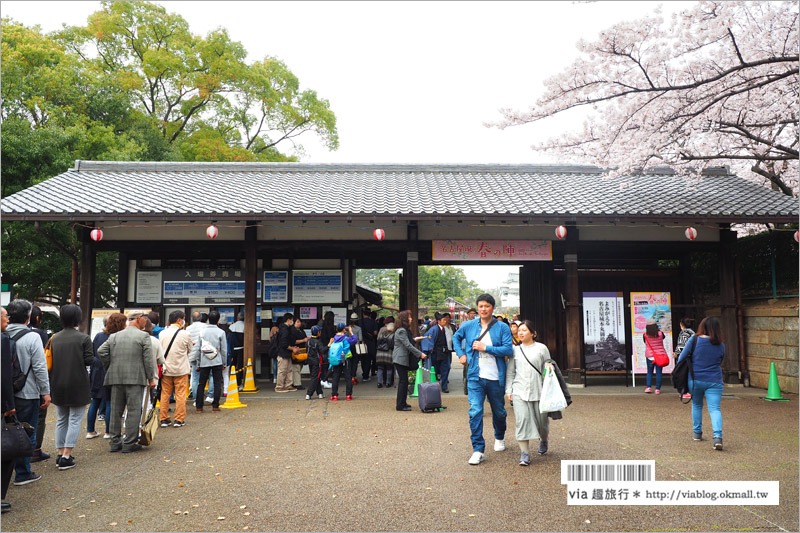 名古屋櫻花》名古屋城櫻花＋名城公園賞櫻記～好美！名古屋必去的賞櫻名所