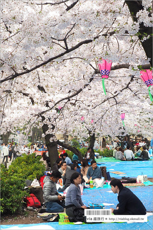 名古屋賞櫻》鶴舞公園～日本100大賞櫻名所‧1200株綻放的櫻花超壯觀！美翻了！