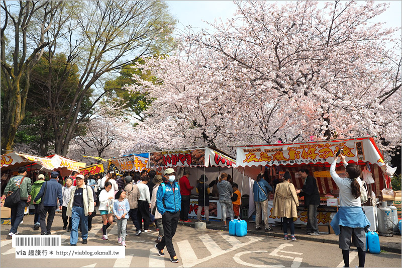 名古屋賞櫻》鶴舞公園～日本100大賞櫻名所‧1200株綻放的櫻花超壯觀！美翻了！