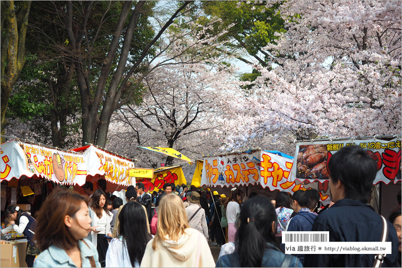 名古屋賞櫻》鶴舞公園～日本100大賞櫻名所‧1200株綻放的櫻花超壯觀！美翻了！