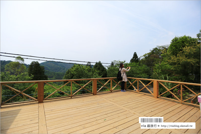 新竹餐廳》新竹菓風麥芽工房～菓風小舖最新力作‧綠野山林間飄起麥芽香～纜車送餐好促咪！