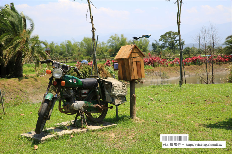 雲林旅遊景點》九九莊園＋十三番生態農場～適合帶孩子們出遊奔跑、露營的旅點！