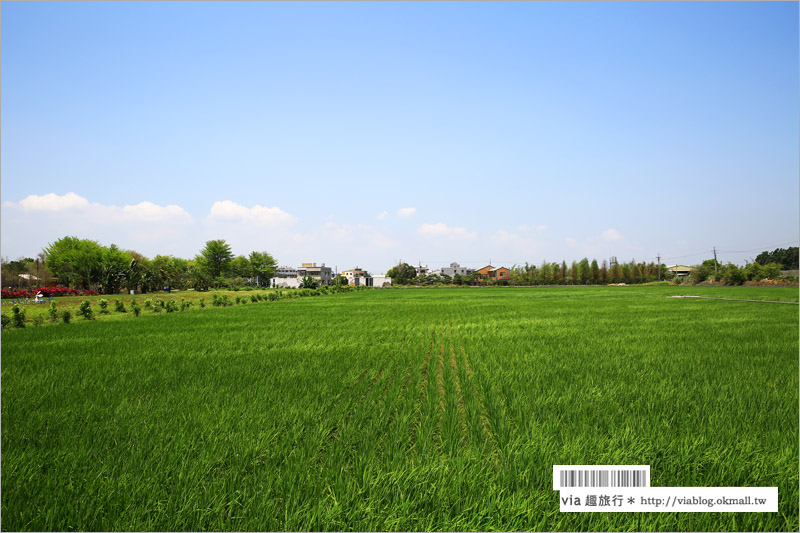 雲林旅遊景點》九九莊園＋十三番生態農場～適合帶孩子們出遊奔跑、露營的旅點！