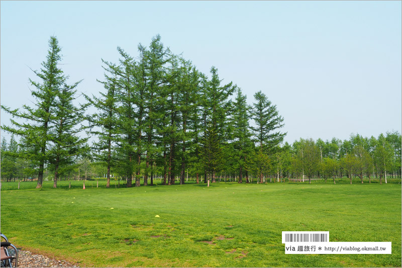 北海道旅遊景點》十勝千年之森～夢幻的療癒系森林大草原、來去森林散散步！