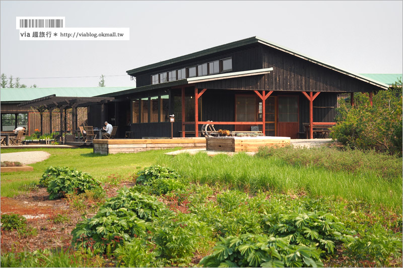 北海道旅遊景點》十勝千年之森～夢幻的療癒系森林大草原、來去森林散散步！