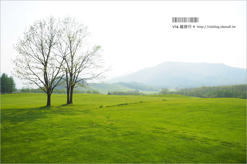 北海道旅遊景點》十勝千年之森～夢幻的療癒系森林大草原、來去森林散散步！