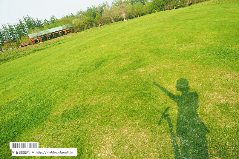 北海道旅遊景點》十勝千年之森～夢幻的療癒系森林大草原、來去森林散散步！