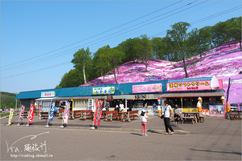 北海道芝櫻》網走｜大空町東藻琴芝櫻公園～絕美的粉紅國度！一生一定要看一次的美景！