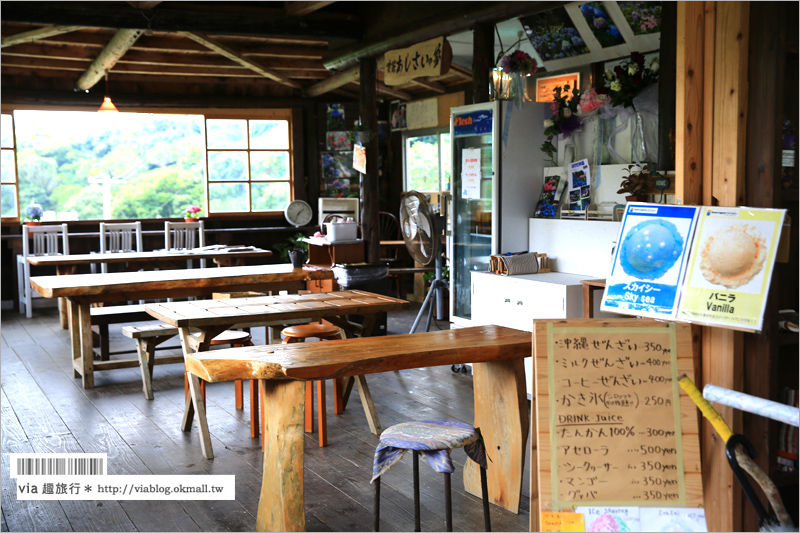 【沖繩繡球花】季節限定！饒平名紫陽花園（よへなあじさい園）～夢幻！綻放整座小山頭的紫色花海！