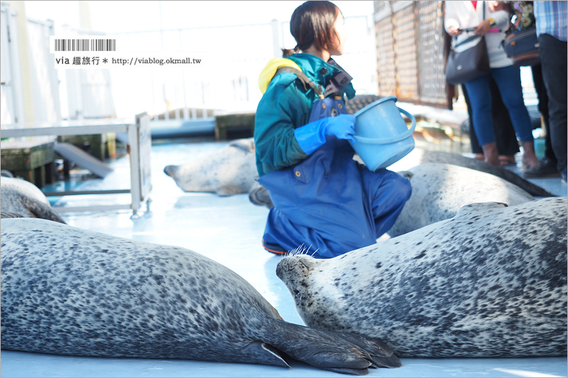 北海道紋別景點》紋別小旅行：海豹館、鄂霍次克塔(流冰展望台)、鄂霍次克流冰科學中心～還有巨無霸蟹腳打卡趣！