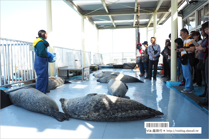 北海道紋別景點》紋別小旅行：海豹館、鄂霍次克塔(流冰展望台)、鄂霍次克流冰科學中心～還有巨無霸蟹腳打卡趣！