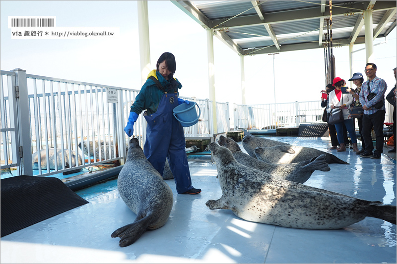 北海道紋別景點》紋別小旅行：海豹館、鄂霍次克塔(流冰展望台)、鄂霍次克流冰科學中心～還有巨無霸蟹腳打卡趣！