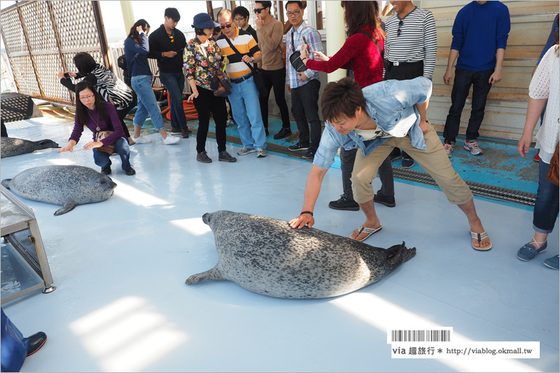 北海道紋別景點》紋別小旅行：海豹館、鄂霍次克塔(流冰展望台)、鄂霍次克流冰科學中心～還有巨無霸蟹腳打卡趣！