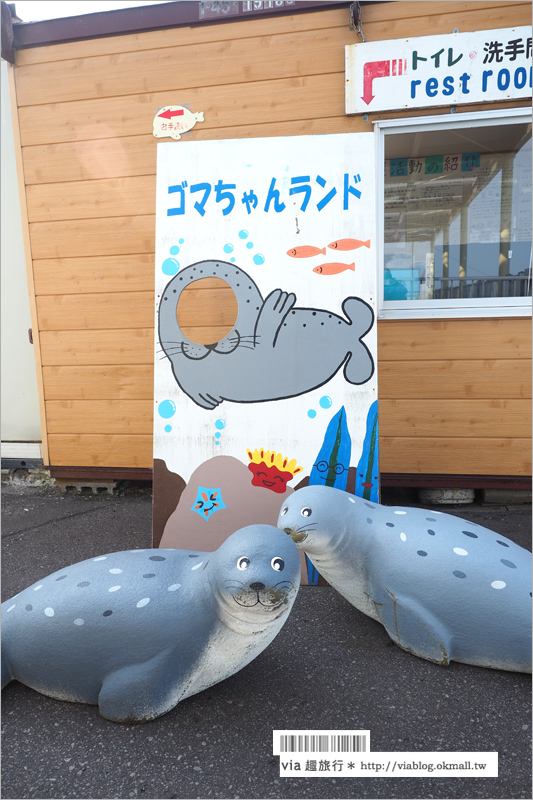 北海道紋別景點》紋別小旅行：海豹館、鄂霍次克塔(流冰展望台)、鄂霍次克流冰科學中心～還有巨無霸蟹腳打卡趣！