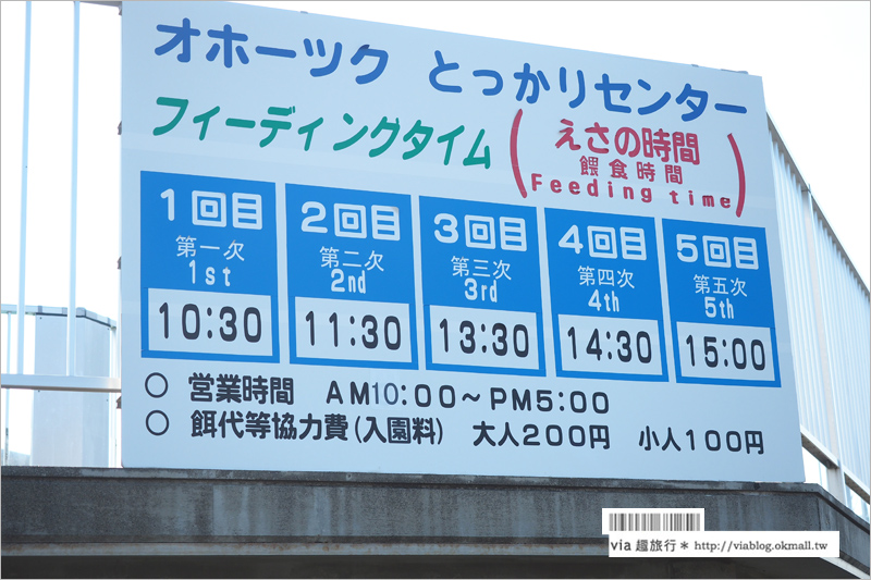 北海道紋別景點》紋別小旅行：海豹館、鄂霍次克塔(流冰展望台)、鄂霍次克流冰科學中心～還有巨無霸蟹腳打卡趣！