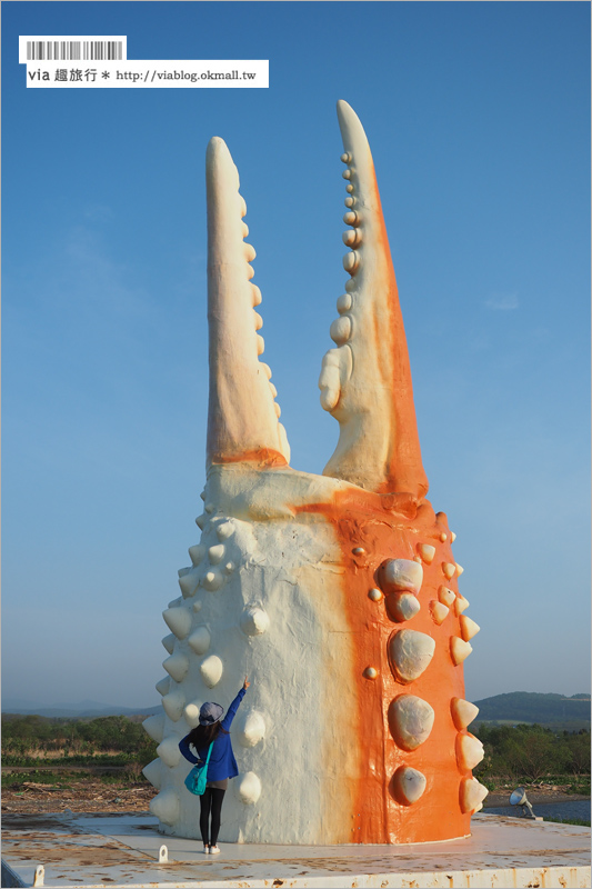 北海道紋別景點》紋別小旅行：海豹館、鄂霍次克塔(流冰展望台)、鄂霍次克流冰科學中心～還有巨無霸蟹腳打卡趣！