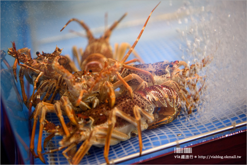 大阪美食》心齋橋餐廳推薦～來去大啖美味又頂級的牛排鐵板燒：みやざき館宮崎牛鐵板燒