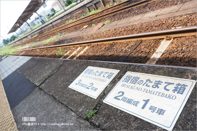 九州觀光列車》指宿之玉手箱～看得見海的鐵路！有著浦島太郎傳說的黑白色車廂、親子同遊的好選擇！