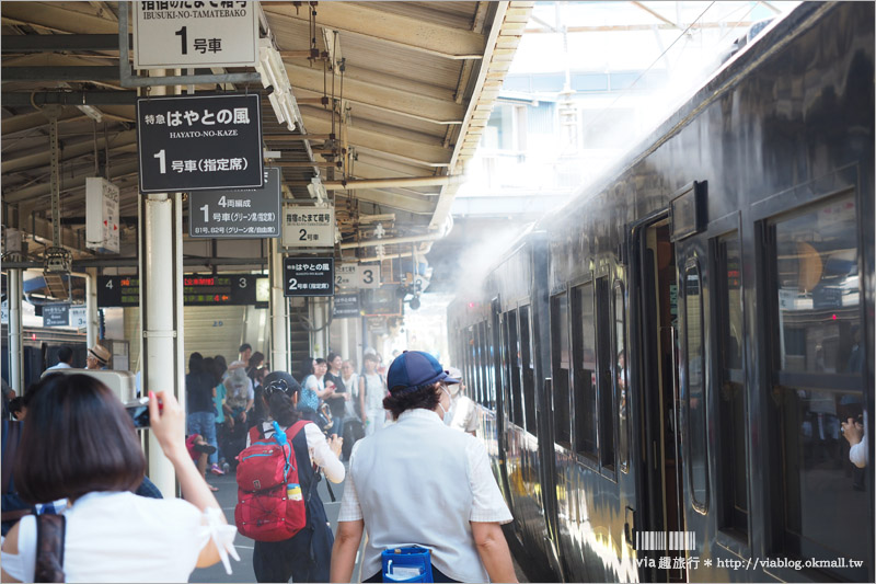 九州觀光列車》指宿之玉手箱～看得見海的鐵路！有著浦島太郎傳說的黑白色車廂、親子同遊的好選擇！