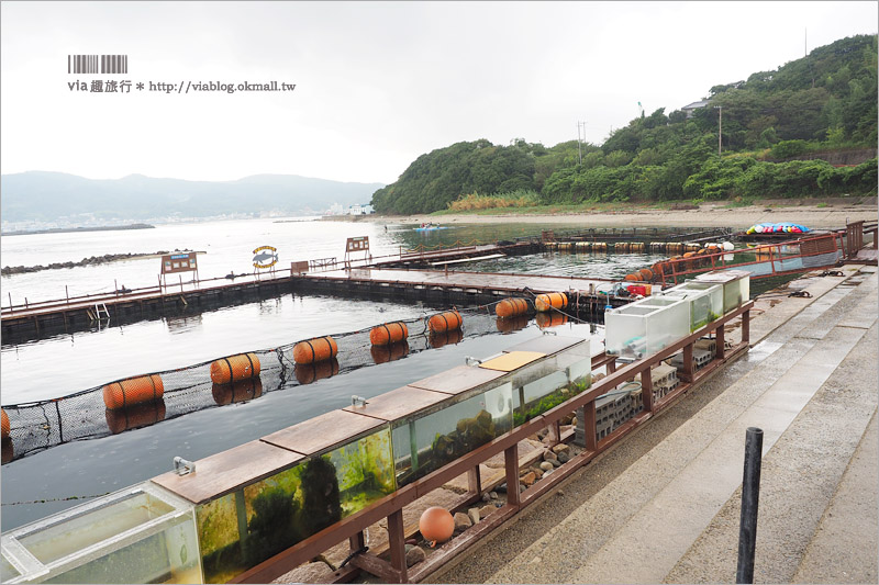 日本旅遊》淡路島一日遊～明石海峽大橋、吹龍好有趣、世界最大海漩渦和超可愛海豚農場一次玩透透！