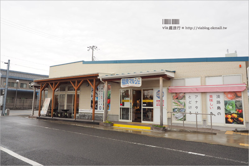 日本旅遊》淡路島一日遊～明石海峽大橋、吹龍好有趣、世界最大海漩渦和超可愛海豚農場一次玩透透！