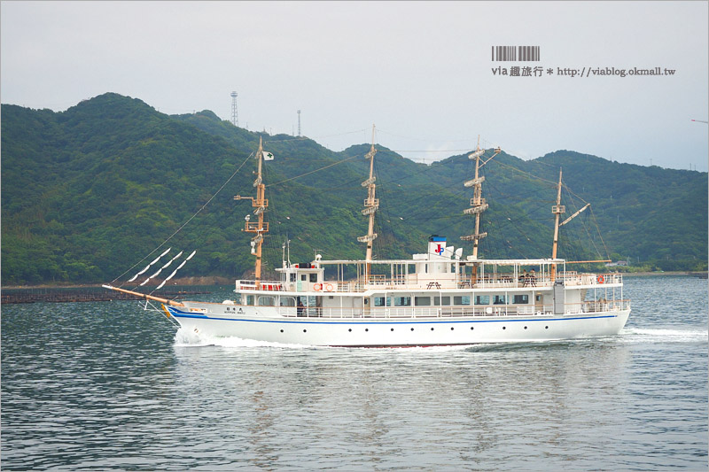 日本旅遊》淡路島一日遊～明石海峽大橋、吹龍好有趣、世界最大海漩渦和超可愛海豚農場一次玩透透！