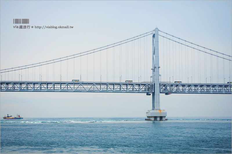 日本旅遊》淡路島一日遊～明石海峽大橋、吹龍好有趣、世界最大海漩渦和超可愛海豚農場一次玩透透！