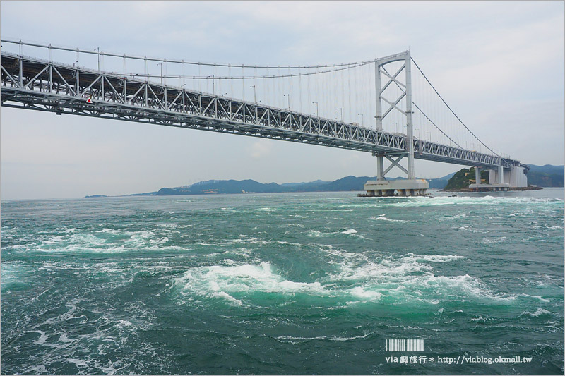 日本旅遊》淡路島一日遊～明石海峽大橋、吹龍好有趣、世界最大海漩渦和超可愛海豚農場一次玩透透！